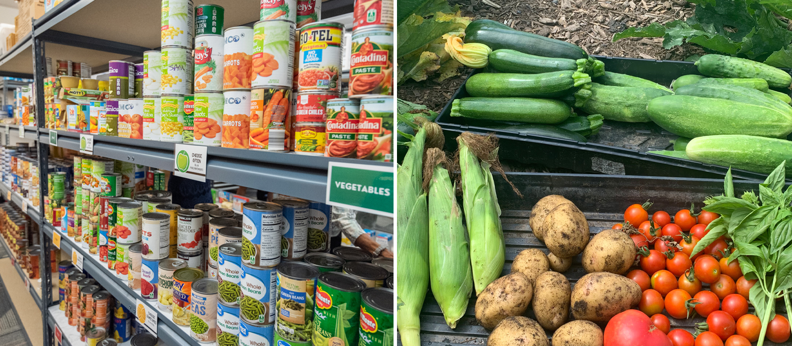 Fueling Dragons food pantry and garden