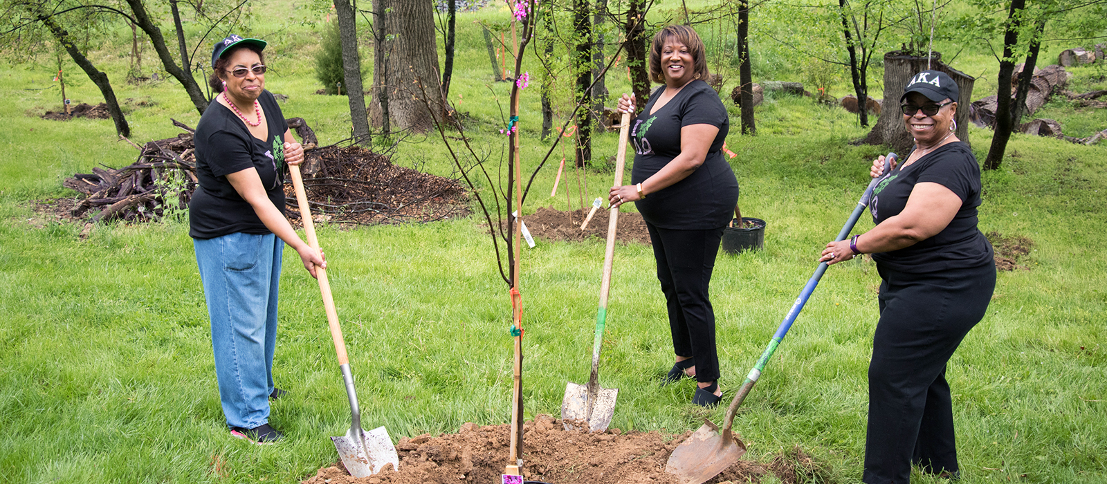 Three women wearing black shirts and holding shovels stand around a newly planted tree in a grassy, wooded area. They are smiling at the camera, participating in a tree planting activity. The setting is a lush, green space with other small trees and piles of wood in the background.