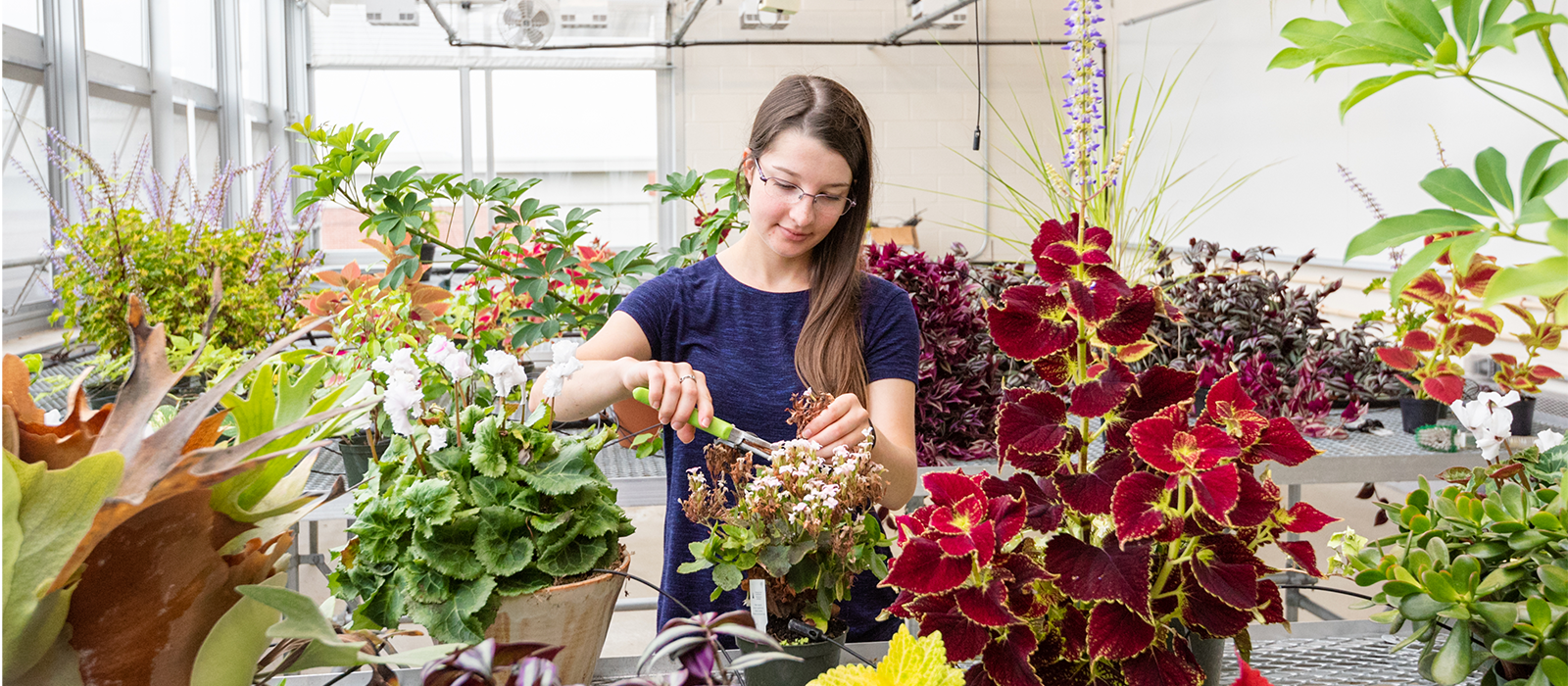Life Sciences web tile