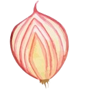 onion
